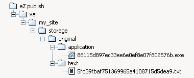 Complete directory structure with uploaded files.