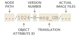 Example of an image subdirectory.