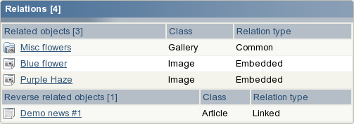 Relations window.