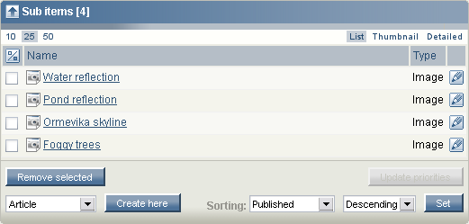 Sub items window.