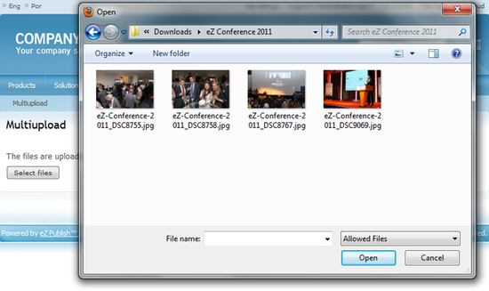 Choosing the files to upload.