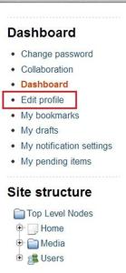 Edit Profile Link